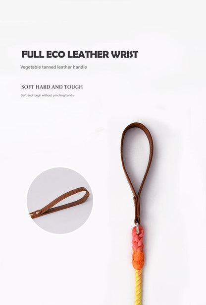 Premium Leather Pet Collar and Leash - Soft, Strong Braided Rope (Honey orange - Size M)