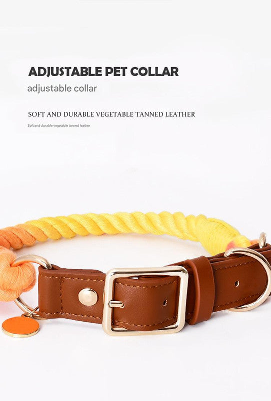 Premium Leather Pet Collar and Leash - Soft, Strong Braided Rope (Wine red - Size S)