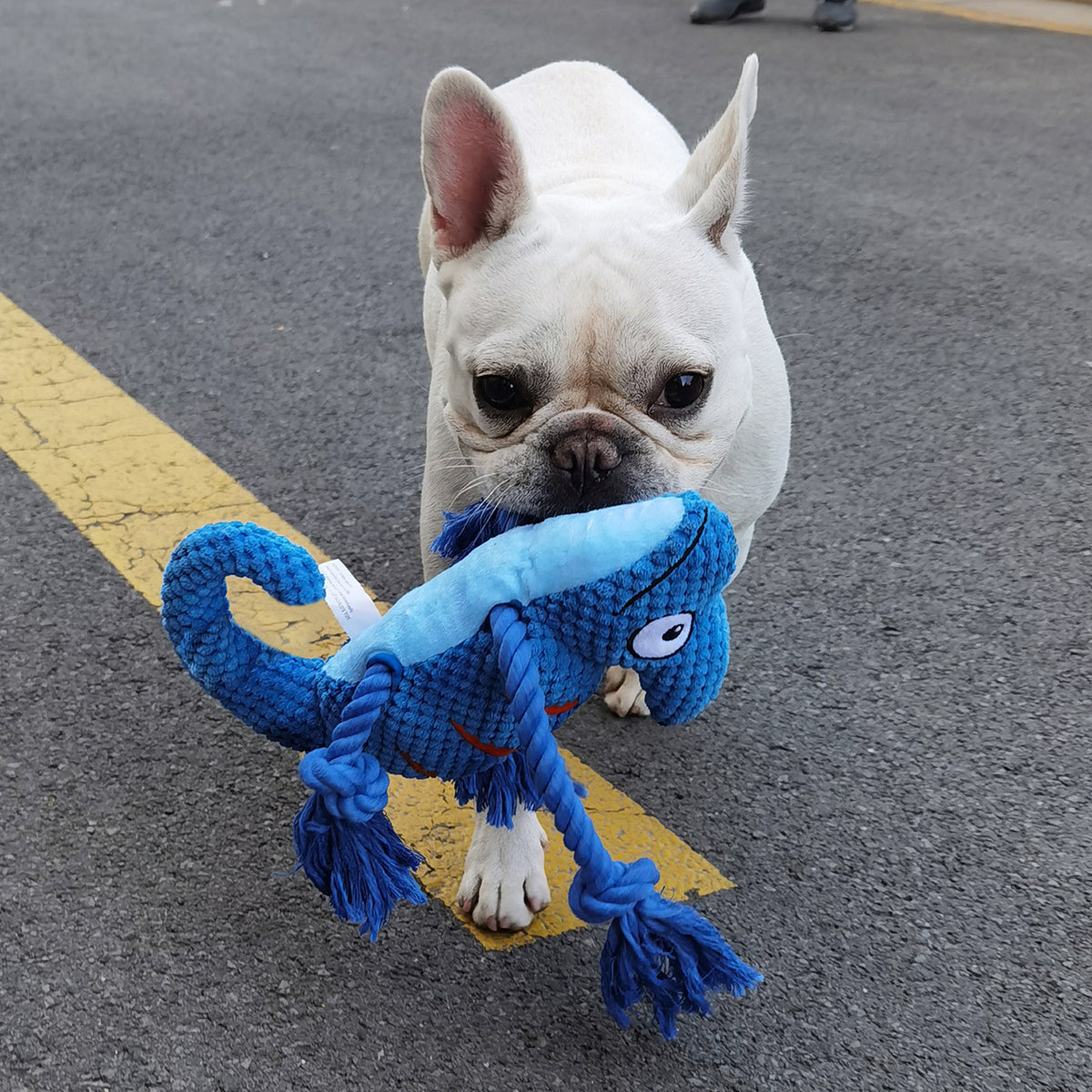 2 Pcs Green Interactive Plush Chameleon Dog Toy with Squeaker & Rope Legs - Durable Chew Toy for Medium/Large Dogs, Teeth Cleaning Texture, Machine Washable (10.2in)
