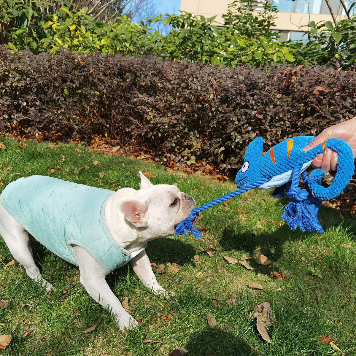 2 Pcs Green Interactive Plush Chameleon Dog Toy with Squeaker & Rope Legs - Durable Chew Toy for Medium/Large Dogs, Teeth Cleaning Texture, Machine Washable (10.2in)