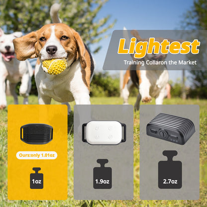 Ultra-Small & Lightweight Dog Training Collar with Remote - 3 Modes, Adjustable Levels, Fits All Sizes(black)